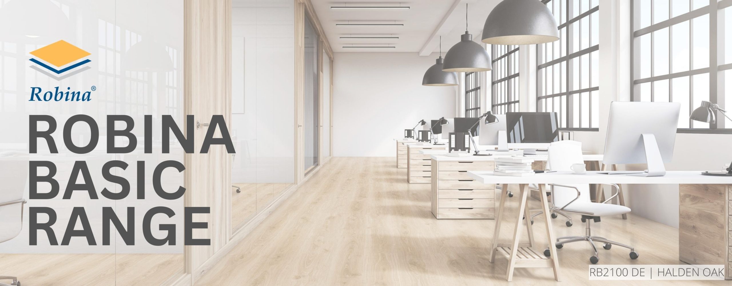 Robina Basic Header