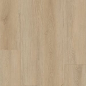 ELC 317 Desert Oak