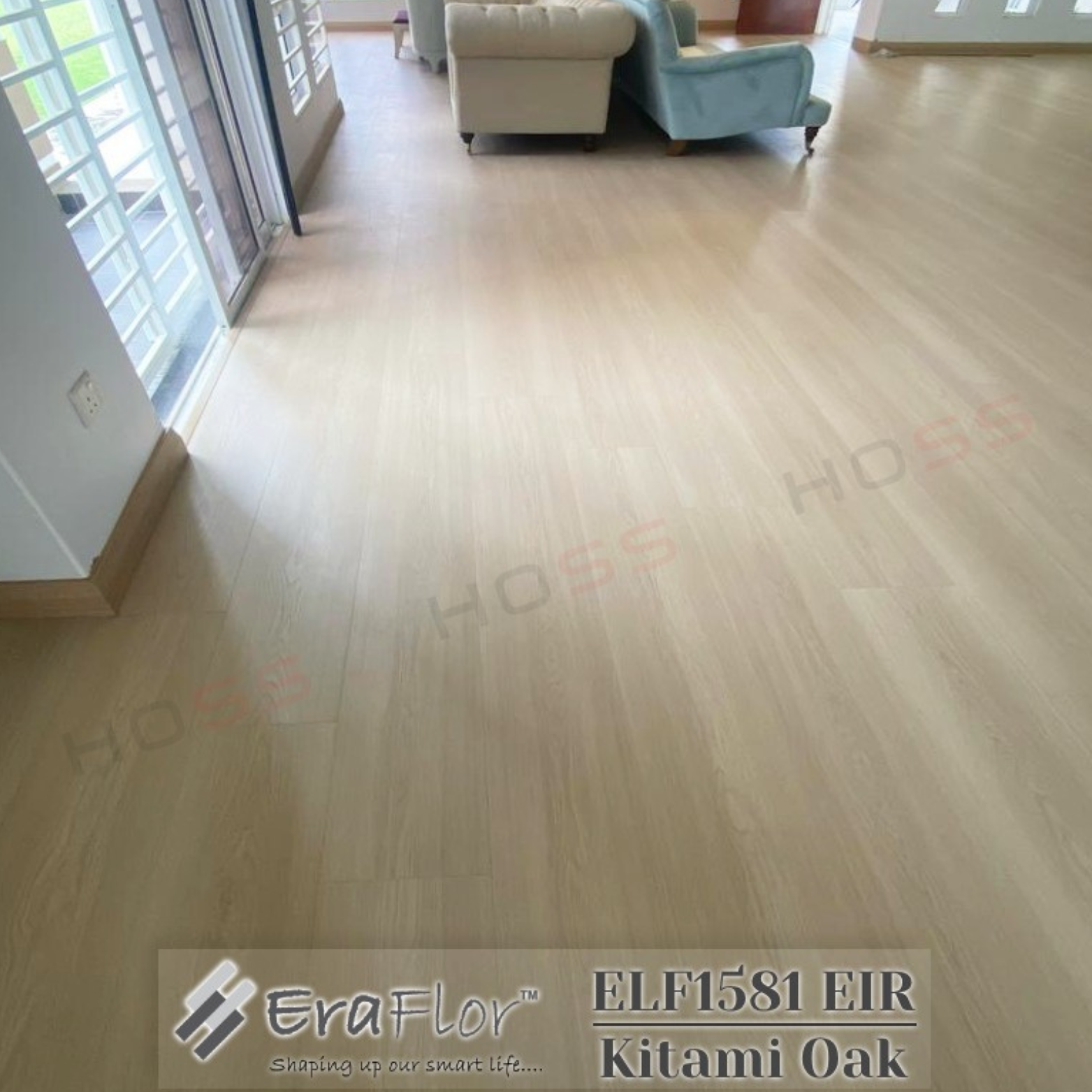 1581 site photo (2)